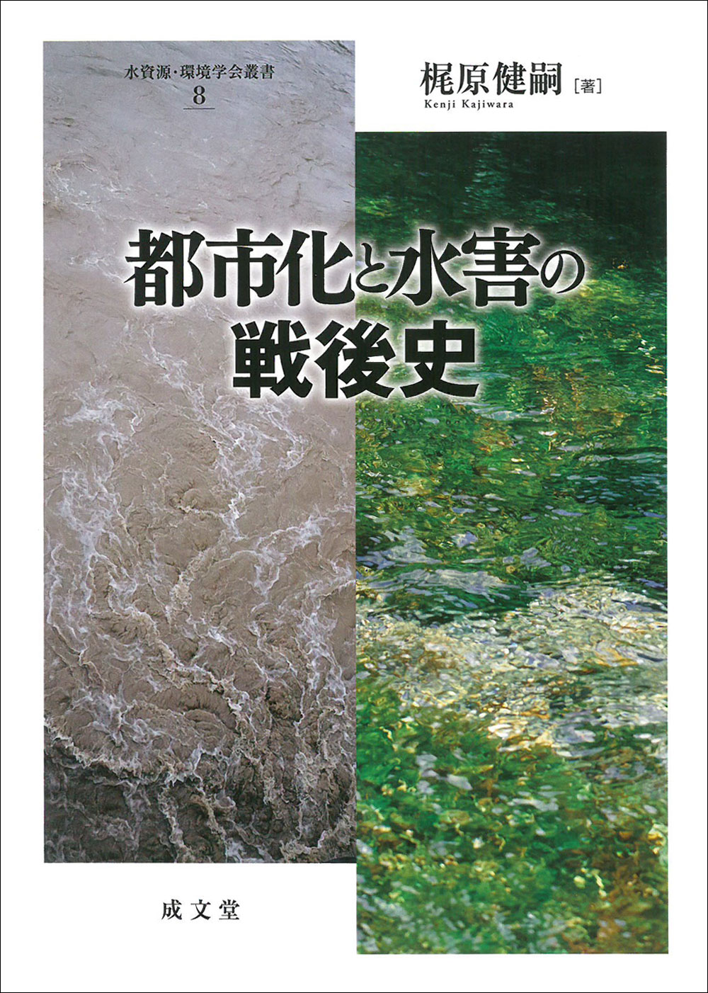 都市化と水害の戦後史