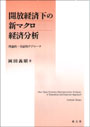開放経済下の新マクロ経済分析